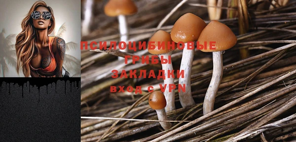 ПСИЛОЦИБИНОВЫЕ ГРИБЫ Алзамай