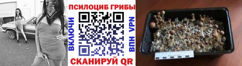 Псилоцибиновые грибы MAGIC MUSHROOMS купить закладку Жирновск